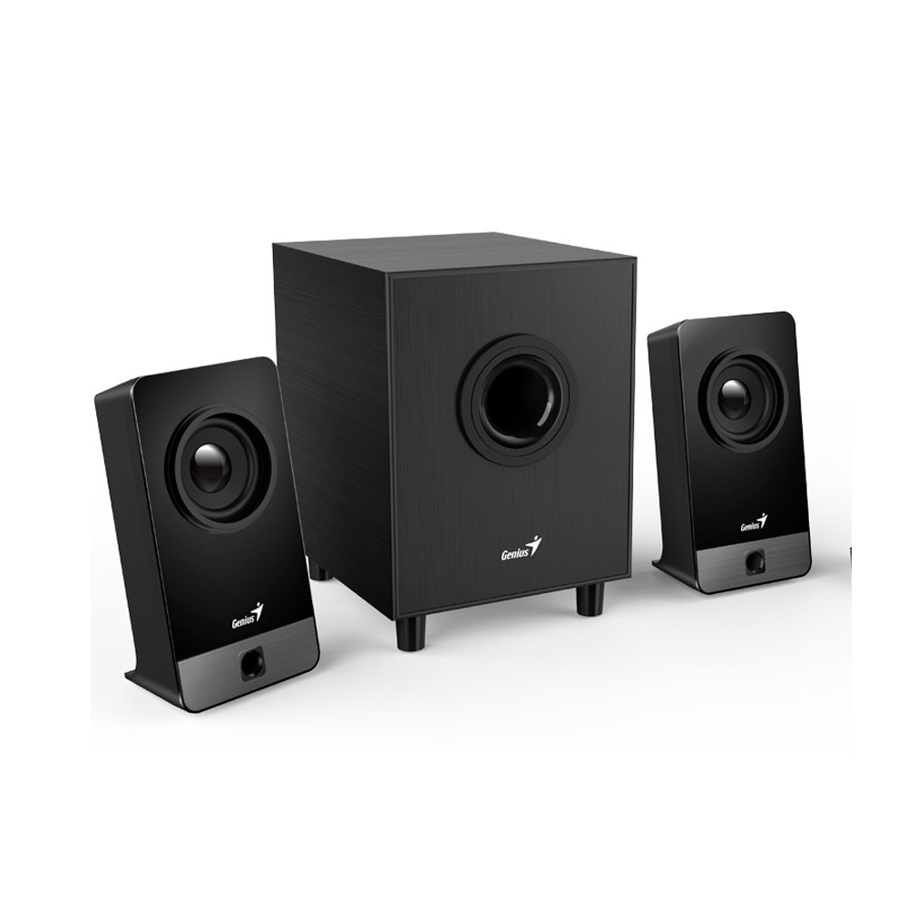 Parlante Con Subwoofer Genius Sw 2.1 300X Negro Sistema De Sonido 2.1