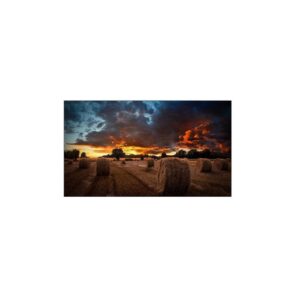 Samsung Monitor Industrial 55 Pulgadas Ultraestrecho LH55VMBUBGBXGO