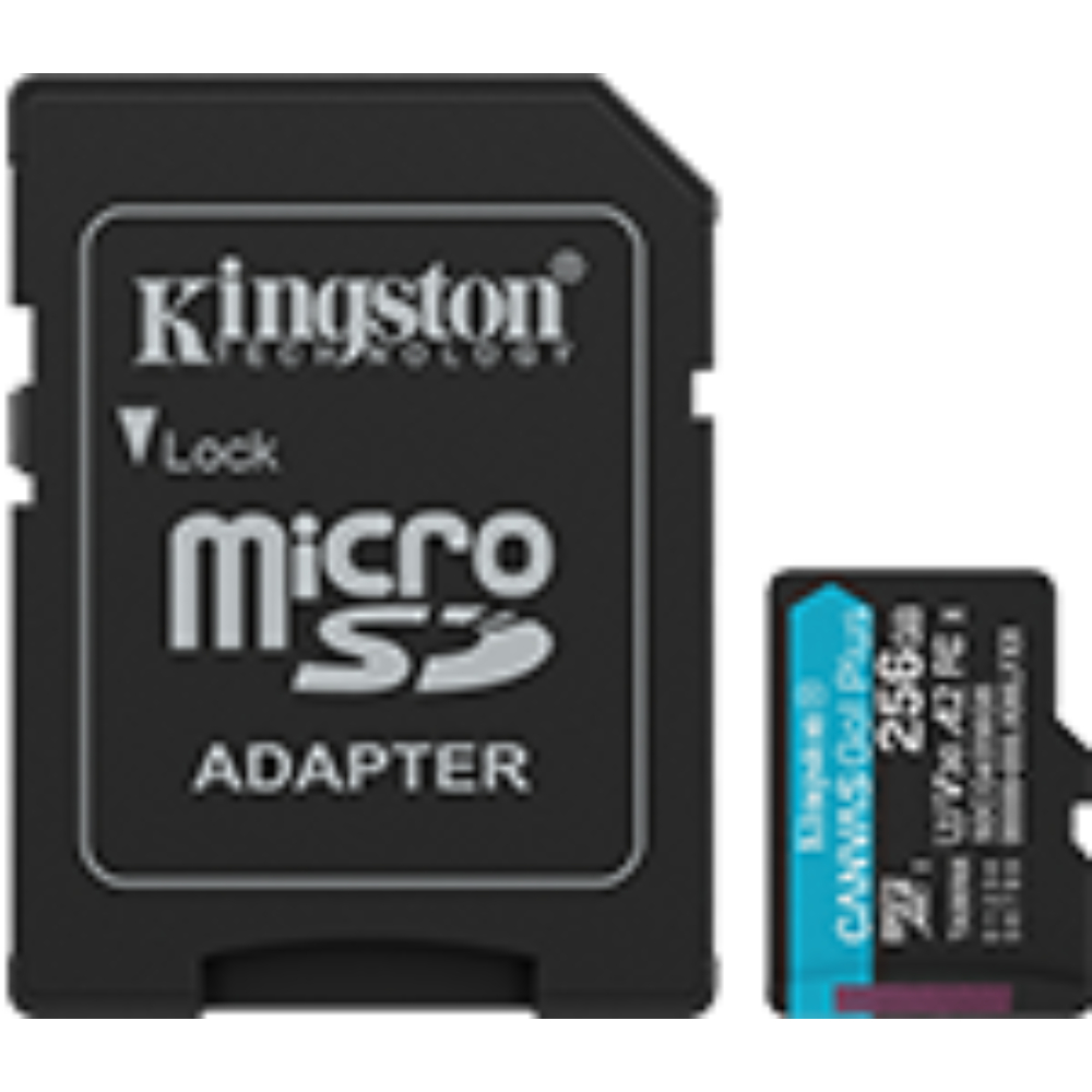Kingston Memoria Micro SD Canvas Go Plus Gen4 256GB 200MBs